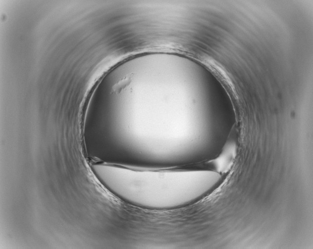 X0000087031192200705071527