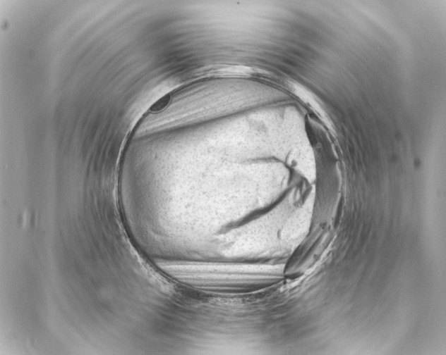 X0000087031194200705071527