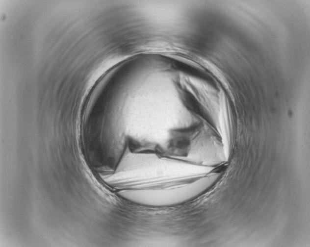 X0000087031195200705071527