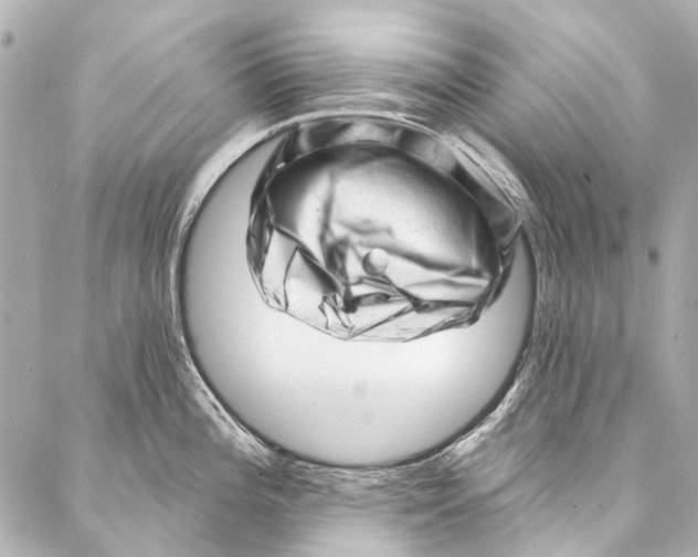 X0000087031196200705071527