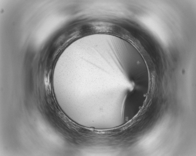 X0000087031198200705071527