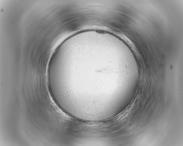 X0000087031199200705071527