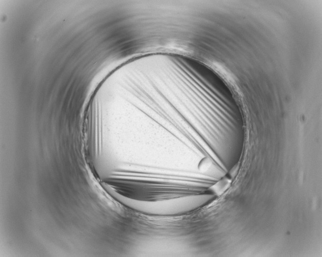 X0000087031200200705071527