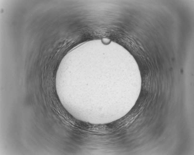 X0000087031201200705071526