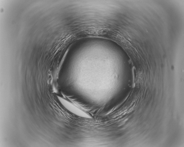 X0000087031202200705071526