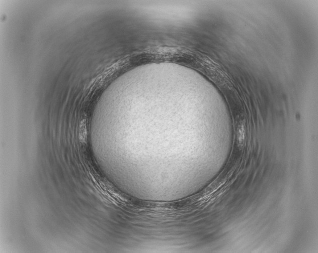 X0000087031204200705071526