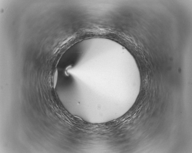 X0000087031205200705071526