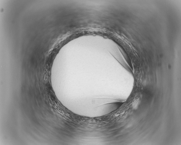 X0000087031207200705071526