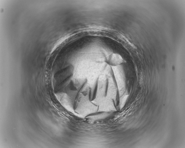 X0000087031208200705071526