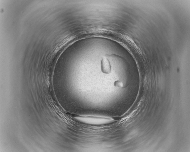 X0000087031209200705071526