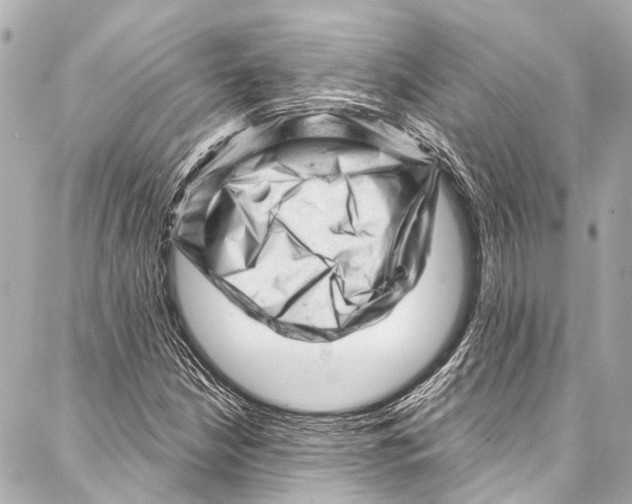 X0000087031210200705071526