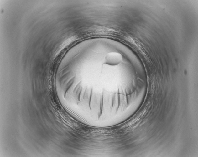 X0000087031211200705071526