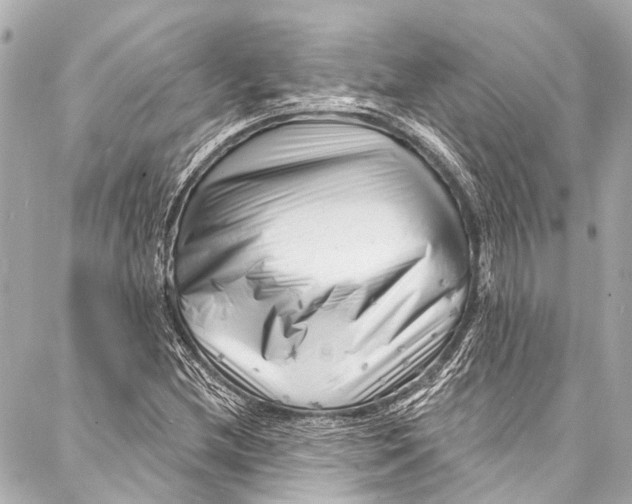 X0000087031212200705071526