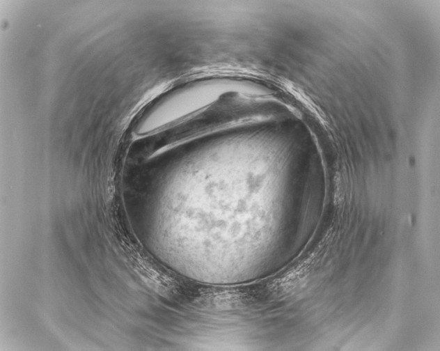 X0000087031213200705071526