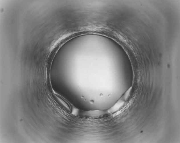 X0000087031214200705071526