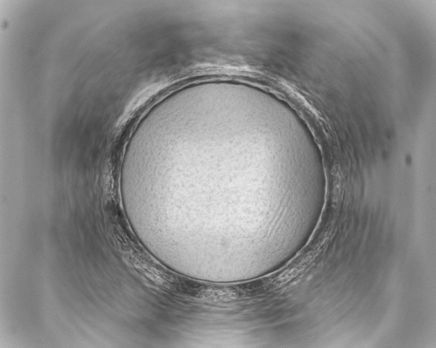 X0000087031215200705071526