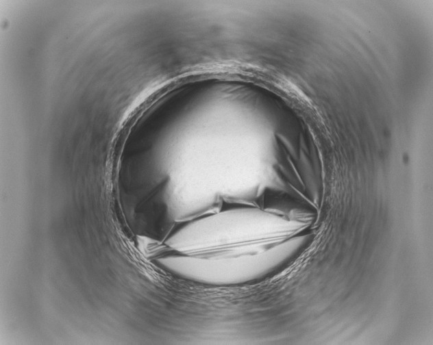 X0000087031216200705071526