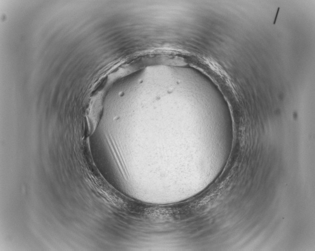 X0000087031217200705071526