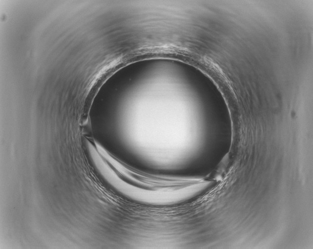 X0000087031218200705071526