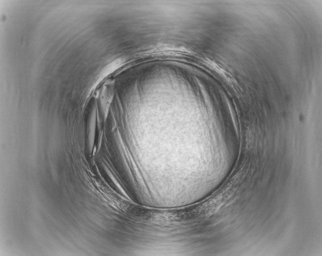 X0000087031219200705071526