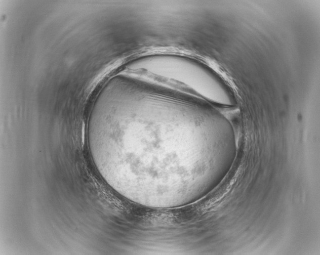 X0000087031221200705071526