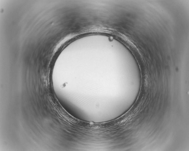 X0000087031222200705071526