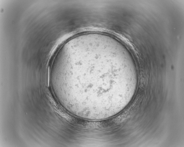 X0000087031223200705071526