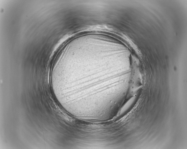 X0000087031224200705071526