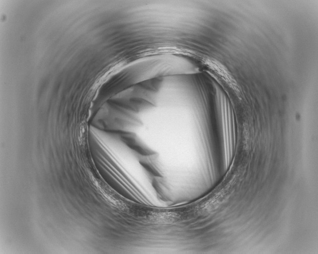 X0000087031225200705071526