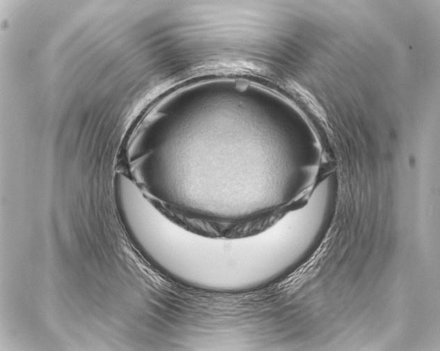 X0000087031226200705071526