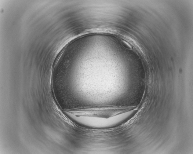 X0000087031228200705071526