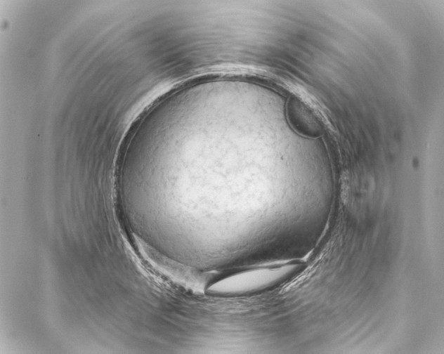 X0000087031229200705071526