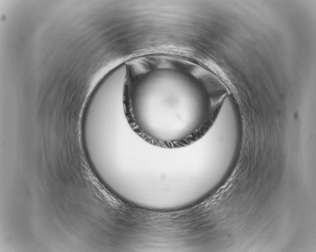 X0000087031230200705071526