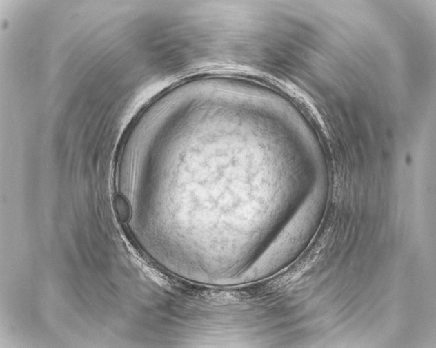 X0000087031231200705071526