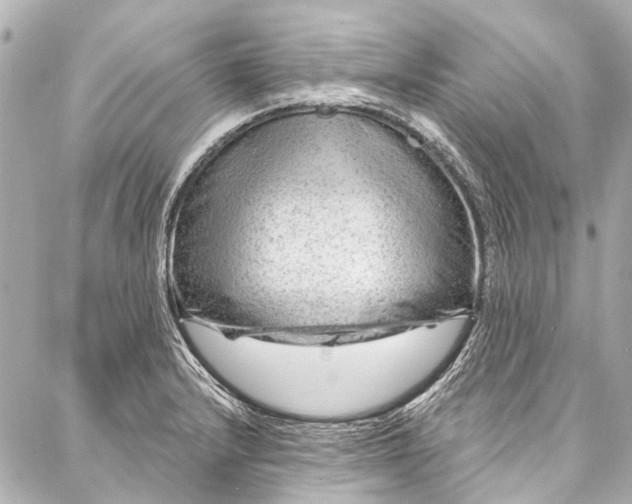 X0000087031232200705071526