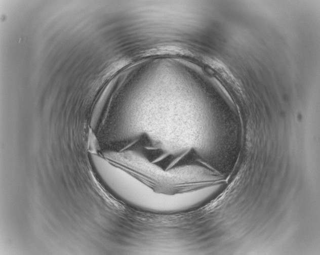 X0000087031233200705071526