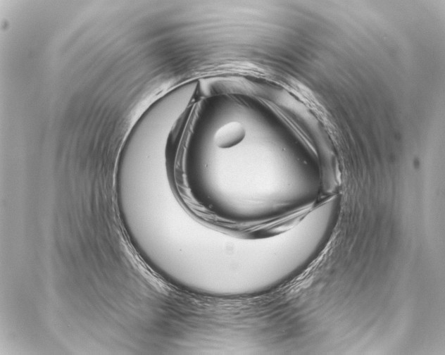 X0000087031234200705071526