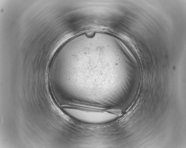 X0000087031235200705071526