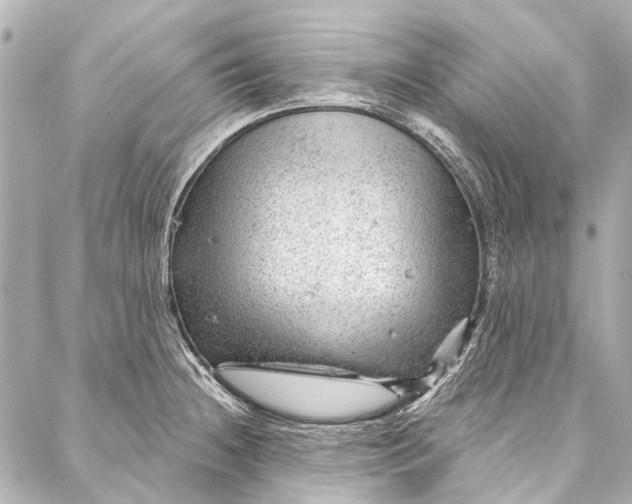 X0000087031236200705071526