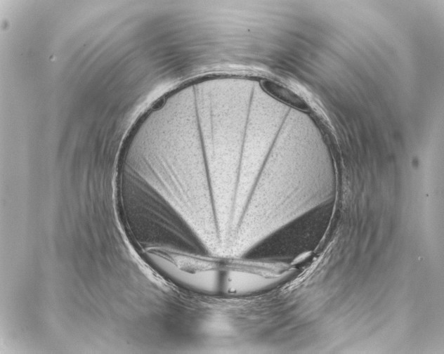 X0000087031237200705071526