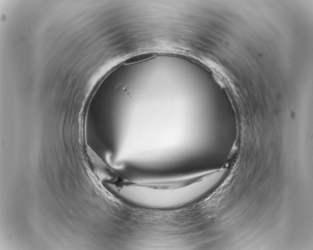 X0000087031238200705071526