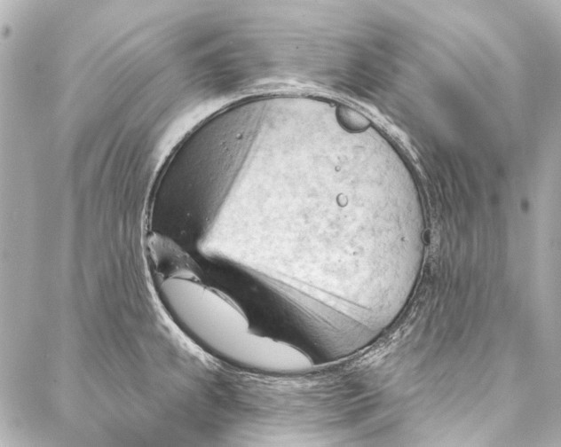 X0000087031239200705071526