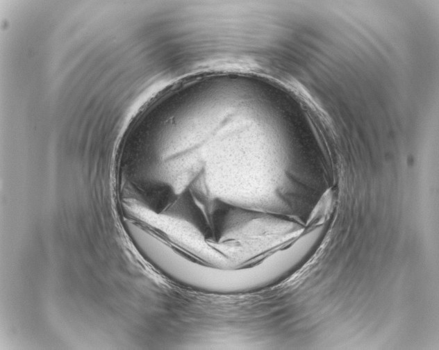 X0000087031240200705071526