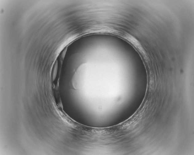 X0000087031242200705071526