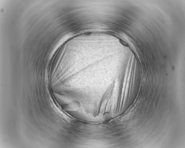 X0000087031243200705071526