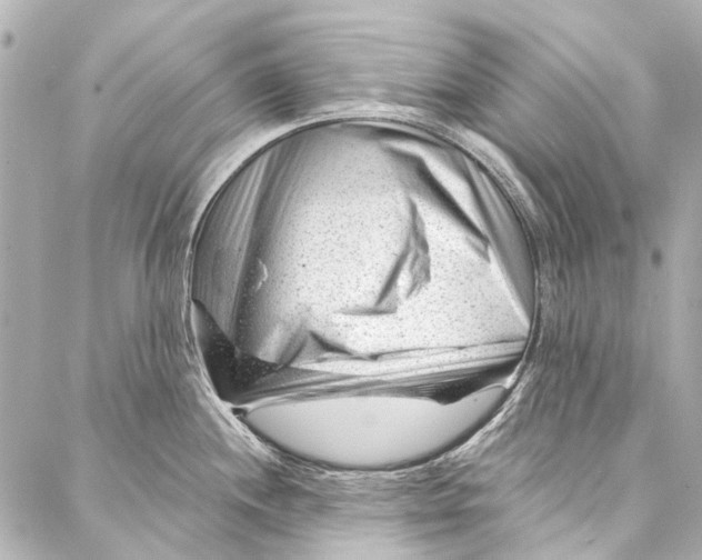 X0000087031244200705071526