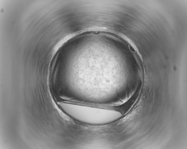 X0000087031245200705071526