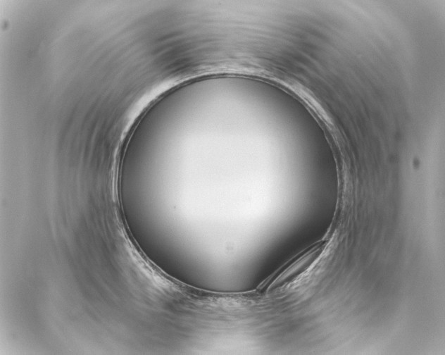 X0000087031246200705071526