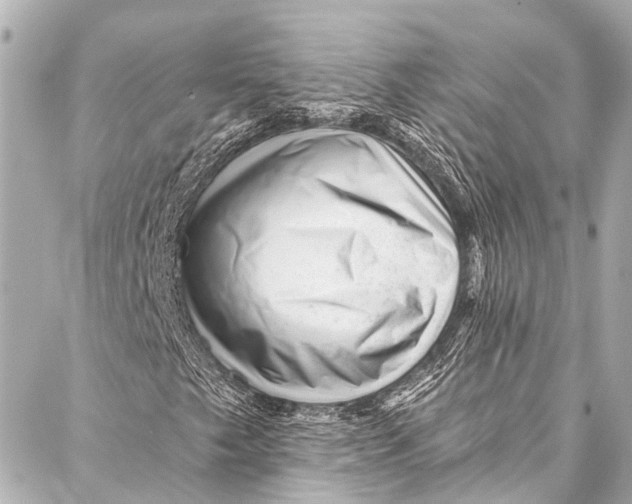 X0000087031249200705071526