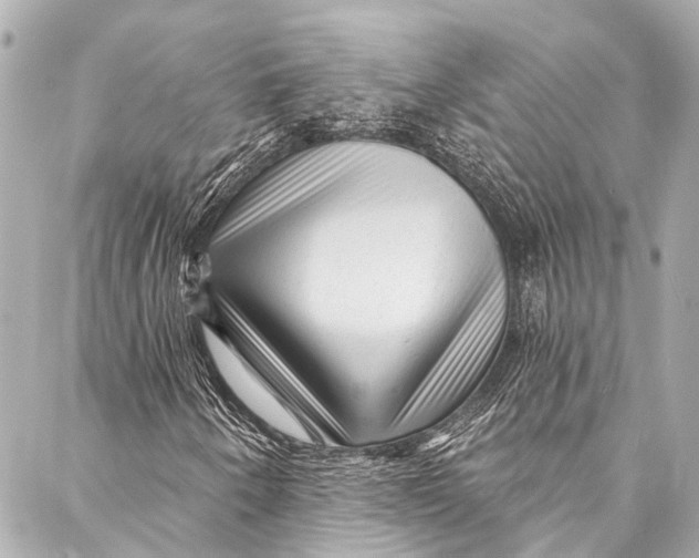 X0000087031250200705071526